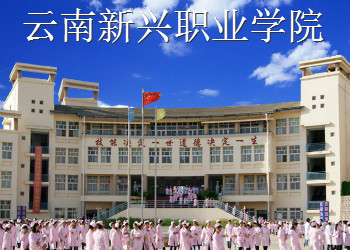云南新兴职业学院2023年三年制招生简章